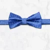 Palenzo Accessoires Et Chaussures | Cravates Et Nœuds Papillon | Nœud papillon - Bleu