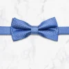 Palenzo Accessoires Et Chaussures | Cravates Et Nœuds Papillon | Nœud papillon - Bleu clair