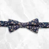 Palenzo Accessoires Et Chaussures | Cravates Et Nœuds Papillon | Nœud papillon - Bleu marine et jaune