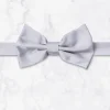 Palenzo Accessoires Et Chaussures | Cravates Et Nœuds Papillon | Nœud papillon - Gris