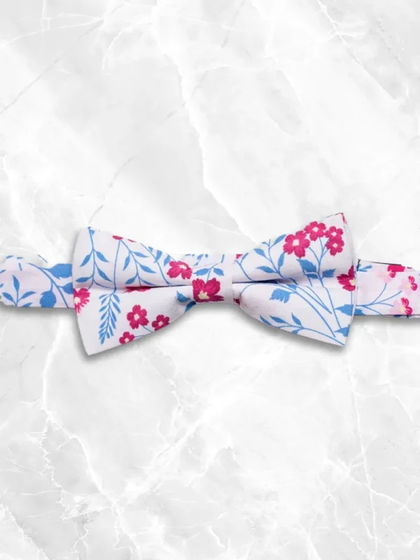Palenzo Accessoires Et Chaussures | Cravates Et Nœuds Papillon | Nœud papillon - Rose et bleu