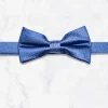 Palenzo Accessoires Et Chaussures | Cravates Et Nœuds Papillon | Nœud papillon - Bleu à pois blanc et bleu