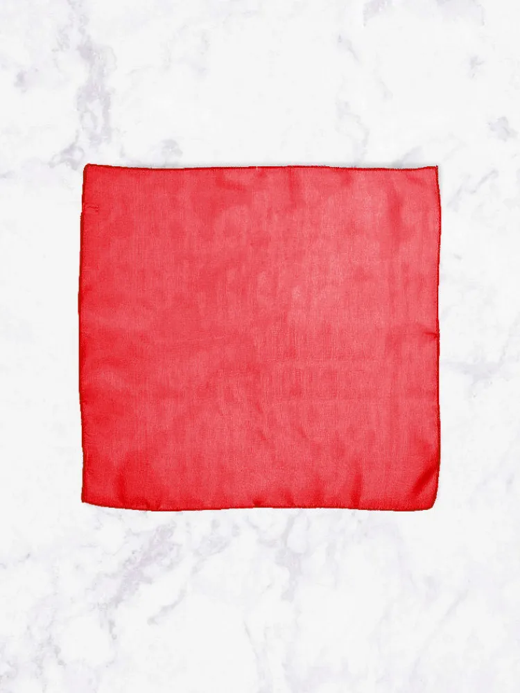 pochette__rouge_1.webp Palenzo Accessoires Et Chaussures | Pochettes | Pochette - Rouge